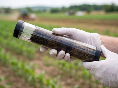 Agronomist Inspecting Soil Core Sample in Farmland Field