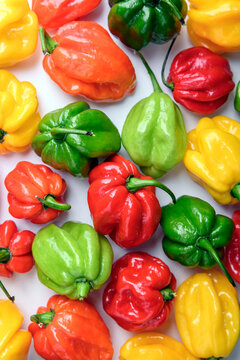 Colorful habanero peppers scattered on white surface, minimal clean composition. Spicy chili assortment, vibrant vegetables, top view pattern