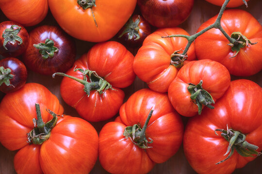 Cluster of red heirloom tomatoes filling the frame. Fresh seasonal vegetables, natural vegetarian ingredients