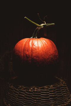 Close up of big orange pumpkin on wicker basket in low key lighting with deep shadows. Minimal autumn still life with squash and moody atmosphere