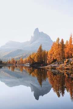 Becco di Mezzodi reflected in the still waters of Lago Federa surrounded by golden larch trees. Autumn landscape in the Dolomites with mirror-like mountain reflections