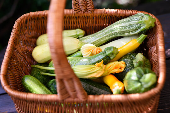 Basket filled with assorted zucchini and blossoms, fresh vegetables composition, farm to table concept. Green and yellow squash close-up, rustic style, healthy produce