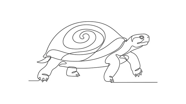 Slow walking turtle featuring a detailed spiral shell pattern in a classic coloring book line art style tortoise coloring background
