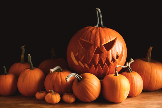 Autumn pumpkin collection with a carved jack o lantern centerpiece against a dark backdrop. Seasonal harvest display showcasing Halloween decorations and rustic charm