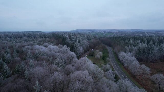 Aerial fork of forest roads through hoarfrost pines and fields