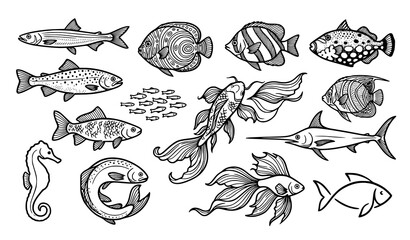 Obraz premium Hand drawn collection of tropical and freshwater fish, detailed vintage aquatic animal illustrations