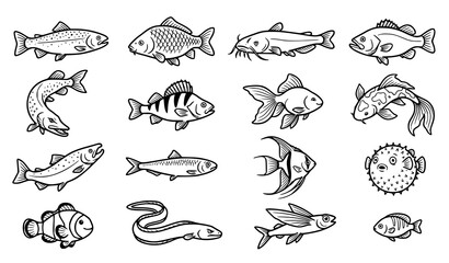 Obraz premium Hand drawn collection of various fish, marine and freshwater aquatic animal illustrations in vintage style