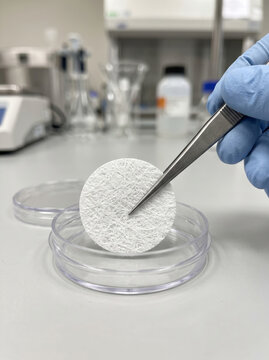 Lab Technician Handling Circular Filter Membrane with Tweezers
