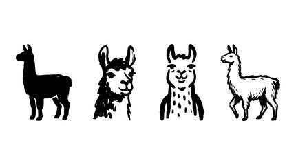 Naklejka premium Illustration of Four Unique Llamas in Various Styles , rough vintage hand-drawn ink isolated on white background. Vector illustration