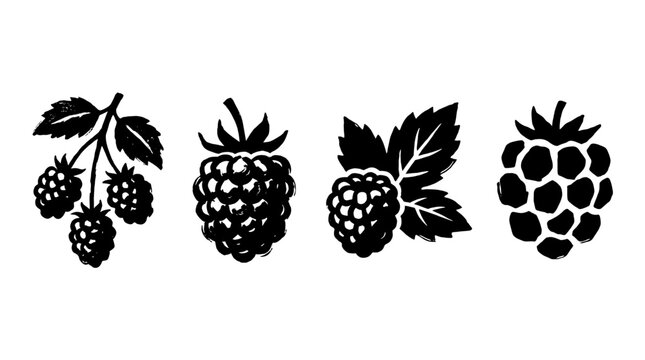 Stylized Black and White Raspberry Illustrations , rough vintage hand-drawn ink isolated on white background. Vector illustration