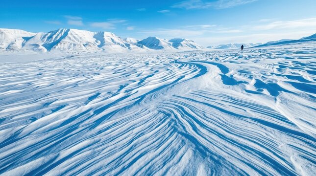 Stunning winter landscape background. Strong winds carve delicate ridges and textured dunes across a vast snowy plain.