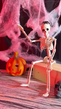 Halloween pumpkin and skeleton surrounded by spooky skulls and cobwebs

