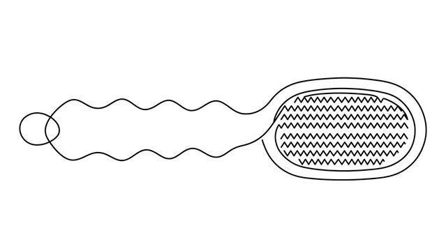 Mitochondria cell organelle illustration white background.