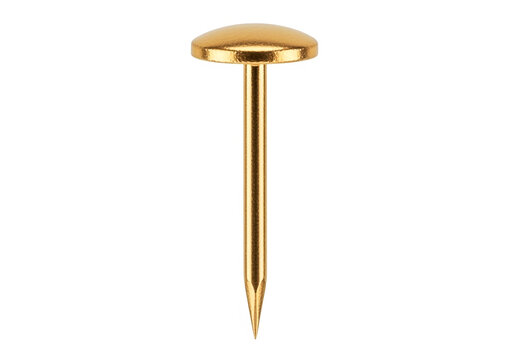 Single golden metal upholstery nail or thumb tack