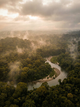 Aerial perspective of a green rainforest split by a wide winding river