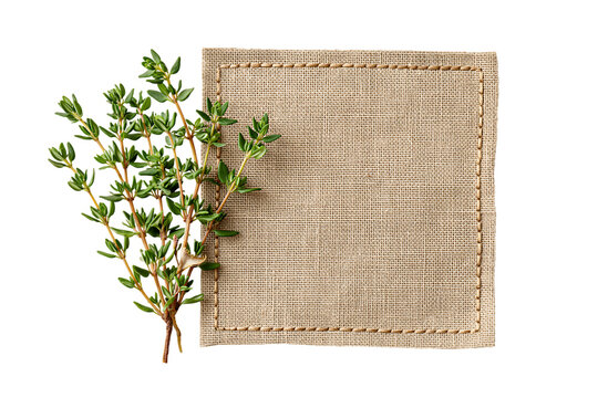 Sprig of fresh thyme next to a square burlap fabric with stitched border isolated on transparent background