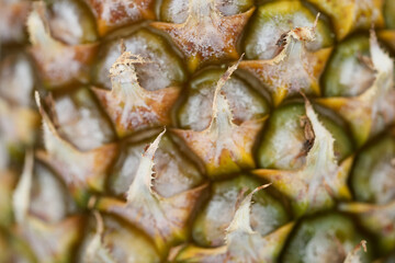 Pineapple rind surface featuring geometric patterns and rough texture in a detailed macro close-up. © Aerials Wind
