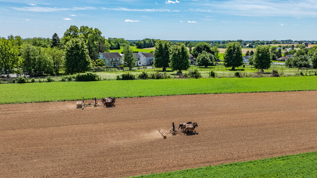Amish Farmers use teams of horses to prepare the soil in large fields. The scene shows green trees and houses in the background under a clear blue sky. It is midday in a countryside setting.