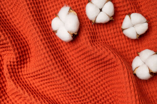 White cotton flowers rest on orange waffle fabric, showing natural textile texture. Cotton fibers, woven material, and warm color support sustainable fashion, sewing education, and lifestyle design.