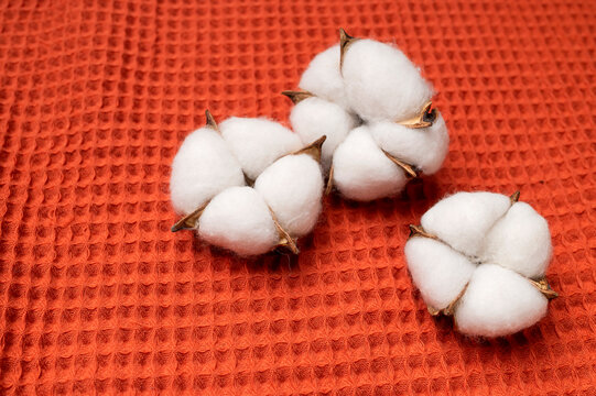 White cotton flowers on natural waffle fabric close-up. Eco-friendly textile concept for blankets, towels and clothing. Textured fabric in autumnal shades.