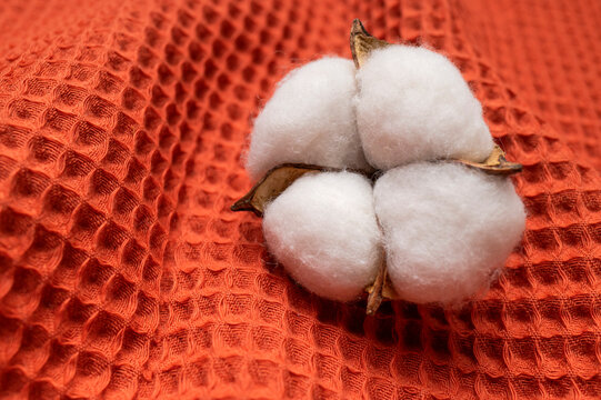 White cotton flowers on natural waffle fabric close-up. Eco-friendly textile concept for blankets, towels and clothing. Textured fabric in autumnal shades.