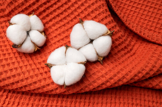 White cotton flowers rest on orange waffle fabric, showing natural textile texture. Cotton fibers, woven material, and warm color support sustainable fashion, sewing education, and lifestyle design.
