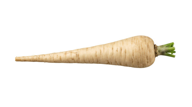 Fresh white carrot with green leafy tops is displayed horizontally against a white background with a gray accent.