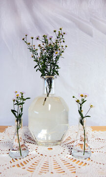 Wild daisies in vases
