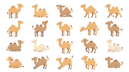 Fototapeta premium Set of cute cartoon camels in various poses and colors isolated on white background.
