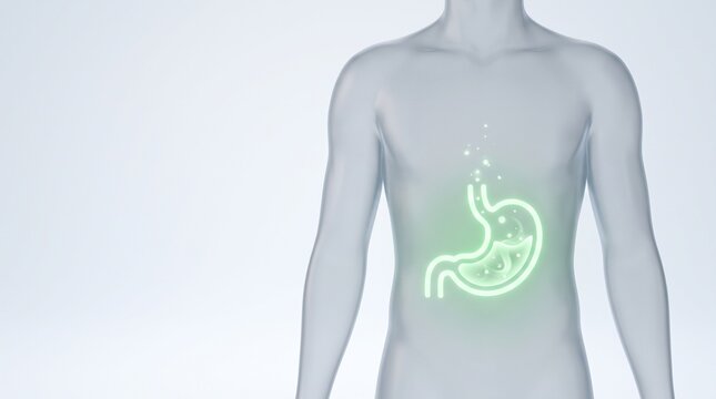 Human torso illustration showing glowing healthy stomach organ, modern medical 3D digestive system concept