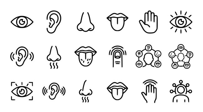 Minimal five human senses icons with sight hearing smell taste touch anatomy and educational vector symbols