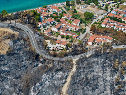 Siviri, Greece - 18 August 2026: Aerial view of the aftermath of a forest fire with charred trees and burnt landscape surrounding residential buildings near the coast.