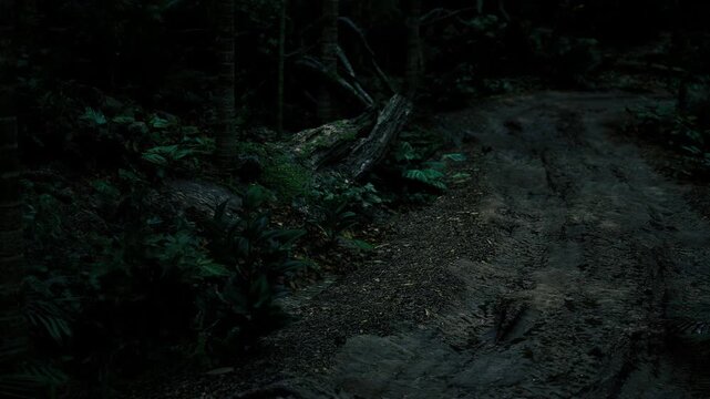 Dark leaf litter forest floor damp, subtle moonlight, closeup view of decomposing leaves, twigs, moss patches and rich soil texture, moody organic tones ideal