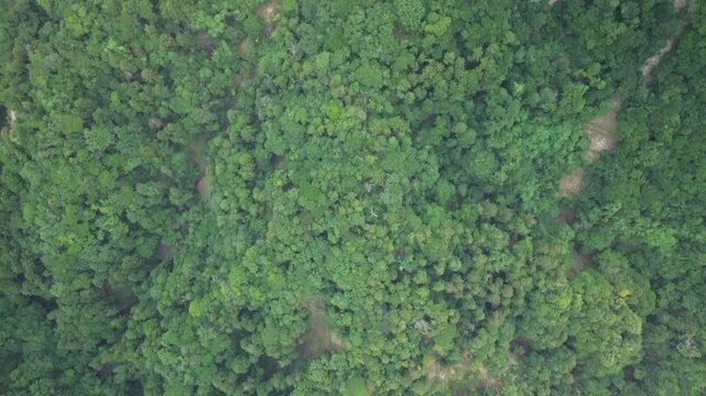 Majestic natural scenery and peaceful landscape from 4K aerial drone flight