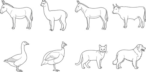 Naklejka premium Domesticated Animal Line Drawings Featuring Donkey, Alpaca, Cow, Goose, Cat, and Dog