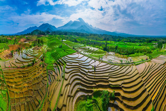Aerial view of lush green rice terraces with water-filled paddies reflecting the sky, surrounded by rolling hills and a distant mountain in Wonosobo, Central Java, Indonesia.