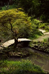 Fotobehang Badkamer Traditional Japanese wooden bridge over a pond surrounded by lush green foliage in the Japanese Garden section of Batumi Botanical Garden, Georgia  © Cat_Kiti_cat