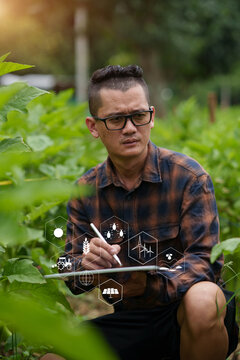 Asian Smart Farmer Using Digital Tablet and Stylus Pen for Crop Monitoring in Green Field