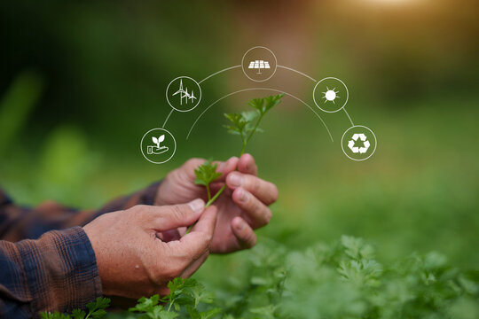 Environmental Conservation and Smart Farming Concept