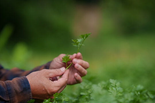 Environmental Conservation and Smart Farming Concept