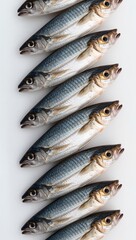 Fototapeta premium Fresh silver fish arranged in a neat repeating pattern on a clean white background. 