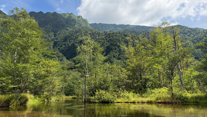 Fototapeta premium Scenic Mountain Wetland with Pond, Green Forest and Summer Sky