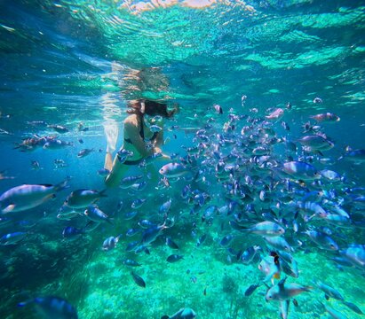 Snorkeling in Bohol