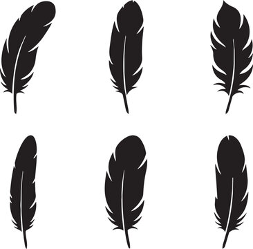 feather silhouette set with different decorative feather designs vector illustration