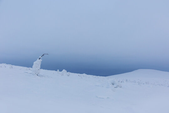 Snow on Manpupuner plateau, Komi Republic, Russia.