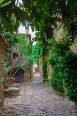 Fototapeta premium Charming Cobblestone Alleyway in Medieval Grožnjan, Istria, Croatia, Framed by Greenery