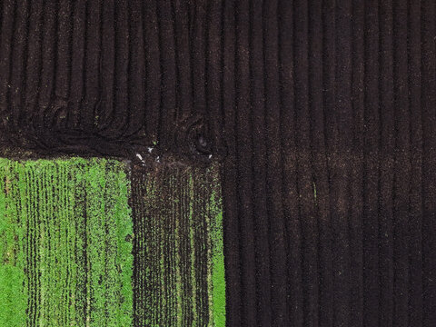 Aerial view of Monbulk Creek area featuring contrasting dark soil and vibrant green crop rows in Lysterfield, Victoria, Australia.