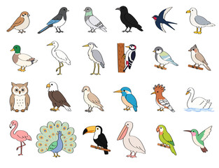 Obraz premium Colorful Bird Species Collection with 25 Different Birds