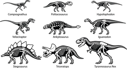 Prehistoric dinosaur skeletons and fossil bones solid icons pack featuring ancient paleontology species silhouettes for museum education © MdRakib