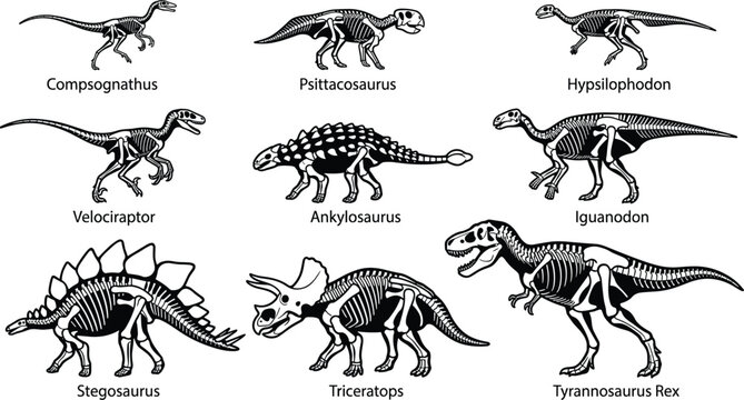 Prehistoric dinosaur skeletons and fossil bones solid icons pack featuring ancient paleontology species silhouettes for museum education